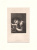 Молодой садовник. Офорт с оригинальной картины О. А. Кипренского (конец XIX века), Россия