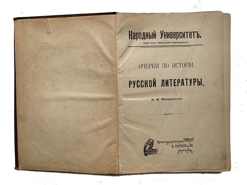 Небольшие очерки. Очерки по истории русской литературы. Очерк в русской литературе. Очерки по истории костюма. Очерки по истории русской литературы Автор.