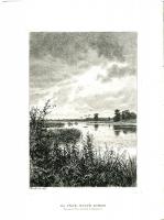 И. Шишкин. На реке после дождя. Офорт, Россия, 1887 год