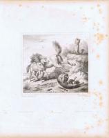 Попытка волка Изегрима купить жеребёнка. Офорт. Германия, Штутгарт, 1867 год