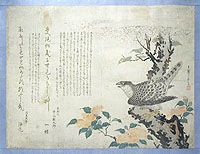 Ястреб. Цветная гравюра на дереве (первая половина XIX века), Япония
