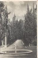 Сочи. Дендрарий, кипарисовая аллея. Фотооткрытка