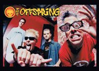 Постер "Offspring - Fish Eye"
