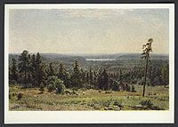 Лесные дали. Открытка