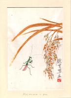 Кузнечик и рис. Акварель, ксилография, в паспарту. 1951 год