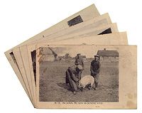 Первая Мировая война. Комплект из 5 открыток