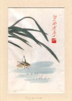 Кузнечик. Акварель, ксилография, в паспарту. 1951 год