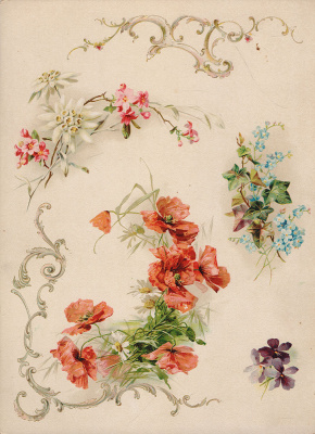 Цветочные композиции. Литография. Западная Европа, 1880-е годы