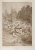 "Мать-Мачеха", И. И. Шишкин. Офорт. Российская Империя, 1876 год