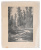 "Лесная речка", И. И. Шишкин. Цинкография. Российская империя, 1893 год