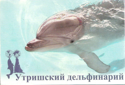 Утришский дельфинарий (набор из 7 открыток)