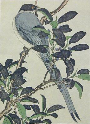 Птица на ветке с плодами. Гравюра (начало XX века), Япония