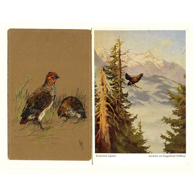 Птицы. Комплект из 10 открыток