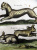 Леопард и рогатые зайцы. Гаспар Шотт. Серия "Монстры Гаспара Шотта". Гравюра на меди, акварель. Германия, Physica Curiosa, 1662 год