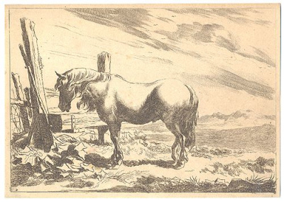 Лошадь у изгороди - Гравюра (середина XVII век, Голландия)