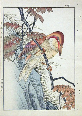 Птица с длинным клювом на ветке. Гравюра (начало XX века), Япония