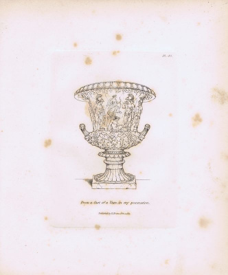 Гравюра Генри Мозес Древняя (античная) ваза 2. Орнамент. Собственность Генри Мозеса. Офорт. Англия, Лондон, 1838 год