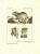 Северный заяц и его пасть. Резцовая гравюра, офорт. Франция, Париж, 1794 год