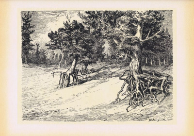 Байкал. Лес на ходулях. Ксилография. СССР, Иркутск, 1966 год