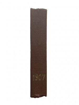 Ежемесячные литературные и популярно-научные приложения к журналу Нива (полный комплект за 1907 год)