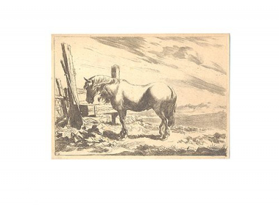 Лошадь у изгороди - Гравюра (середина XVII век, Голландия)