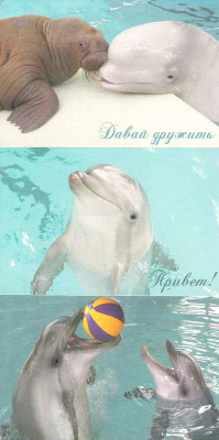 Утришский дельфинарий (набор из 7 открыток)